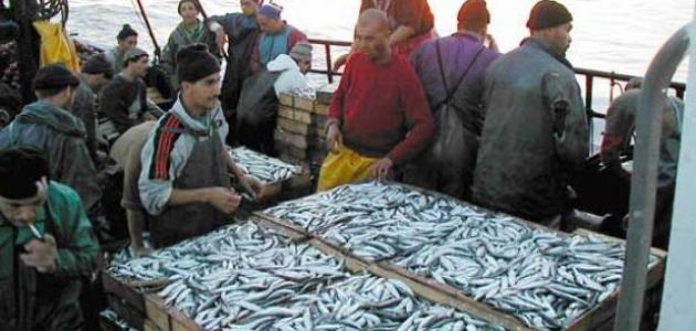 الصيد البحري في الجزائر