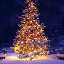 شجرة عيد الميلاد المجيد