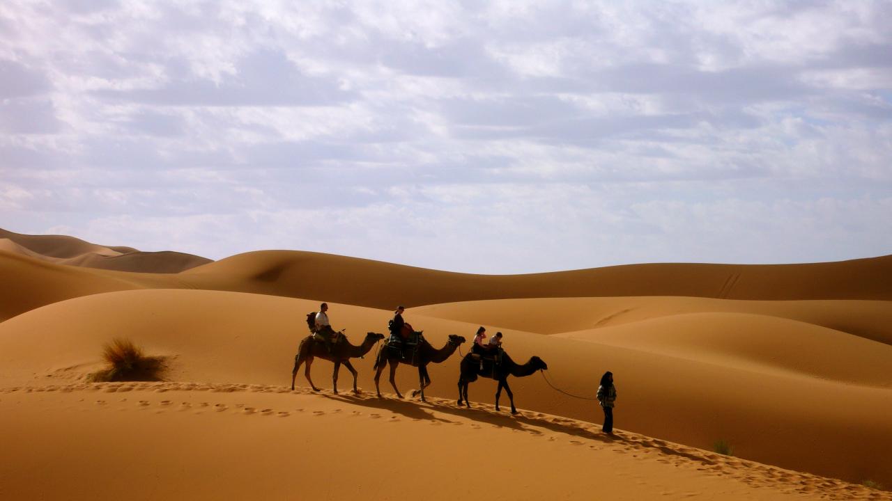 تفسير حلم الصحراء في المنام