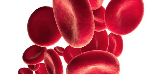 علاج فقر الدم بالاعشاب