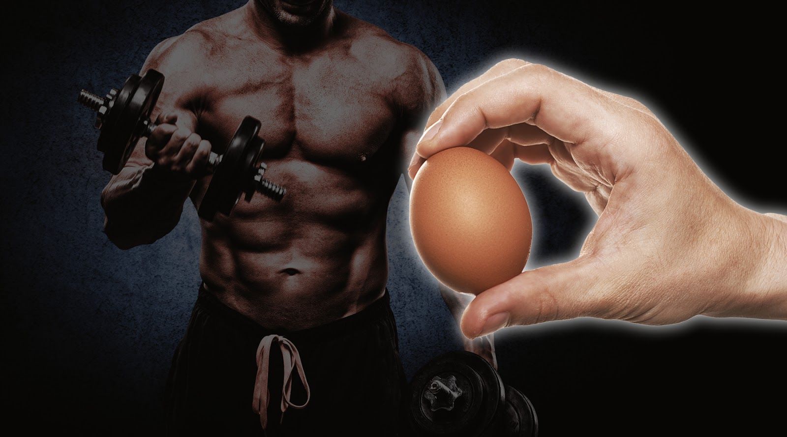 فوائد بياض البيض للعضلات