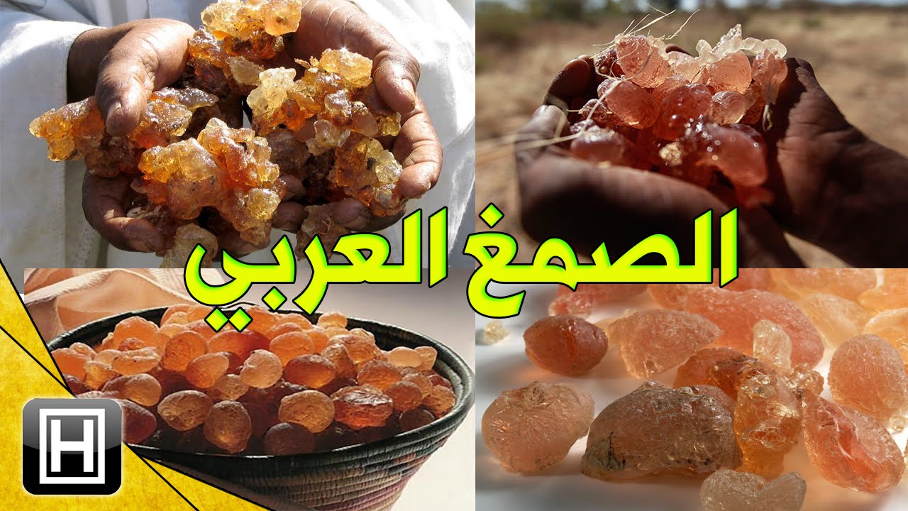 كيف يشرب الصمغ العربي؟