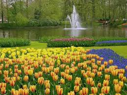 صور اجمل الحدائق فى هولندا