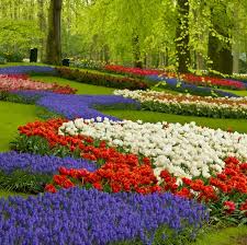 صور حدائق الزهور كيوكينهوف