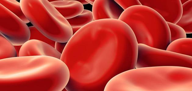 علاج فقر الدم بالاعشاب