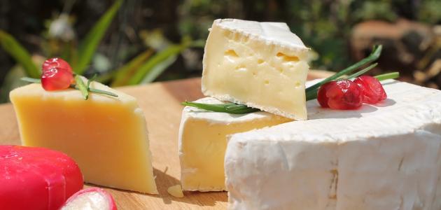 ماهي فوائد الجبنة – أضرار الجبنة البيضاء