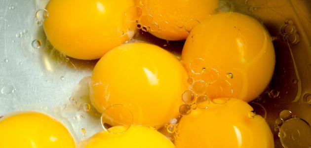 ماهي فوائد صفار البيض ؟؟