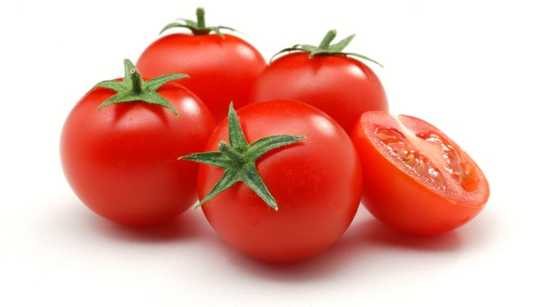 تفسير رؤية حلم الطماطم فى المنام لابن سيرين والنابلسي